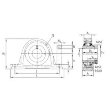 Bearing housed units RASE20-FA164 INA