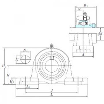 Bearing housed units NAP206-20 KOYO