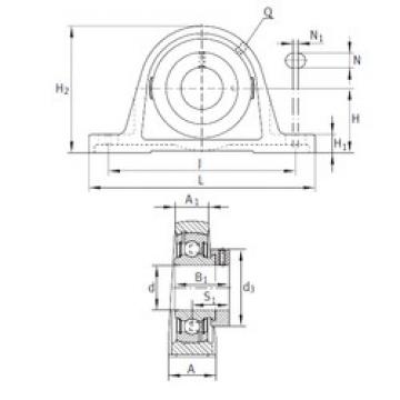 Bearing housed units PAK1-1/4 INA