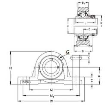 Bearing housed units PASEY35-N NKE