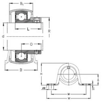 Bearing housed units PB30 NKE