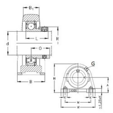 Bearing housed units PSHE20-N NKE