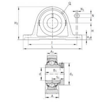 Bearing housed units RAK1-1/4-206 INA