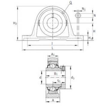 Bearing housed units RASE1-1/4 INA