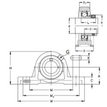 Bearing housed units RASE25-N NKE