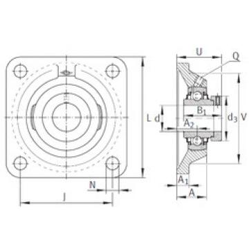 Bearing housed units RCJ1-1/4 INA