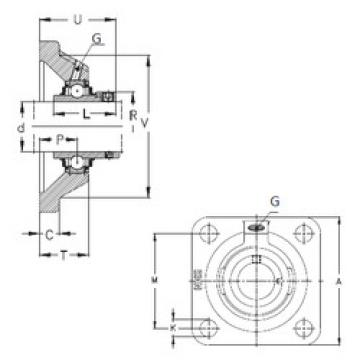 Bearing housed units RCJ120 NKE