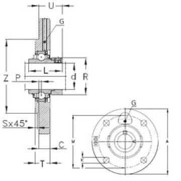 Bearing housed units RMEO90 NKE