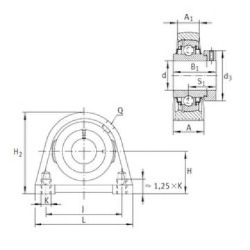 Bearing housed units RSHE17 INA