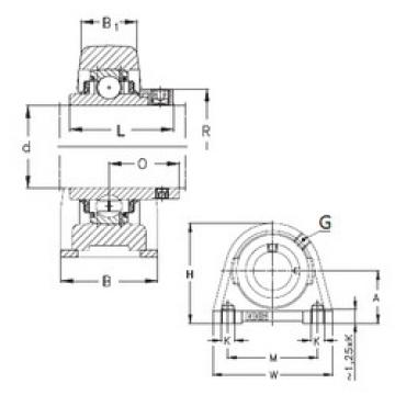 Bearing housed units RSHE25-N NKE