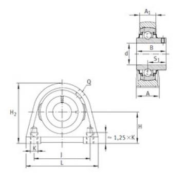 Bearing housed units RSHEY20-N INA