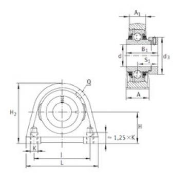 Bearing housed units TSHE20-N INA