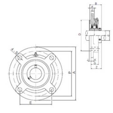 Bearing housed units UCFC204 CX