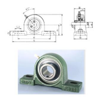 Bearing housed units UCP309 CRAFT