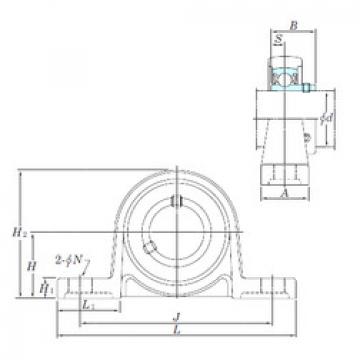 Bearing housed units UP005 KOYO