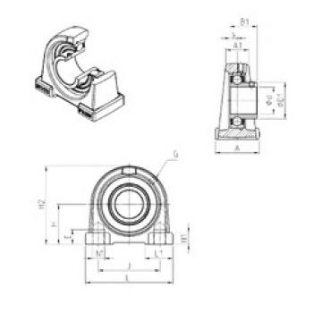 Bearing housed units USPAE205 SNR