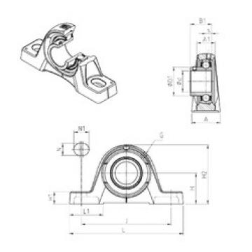 Bearing housed units USPE201 SNR