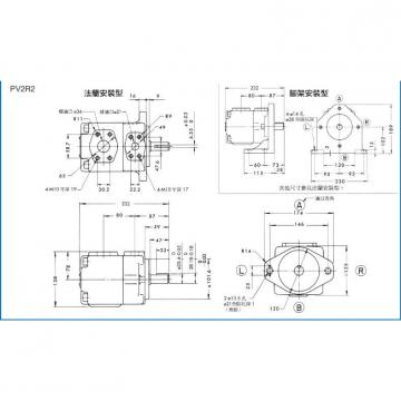 YUKEN Piston pump A145-F-L-01-B-S-K-32               