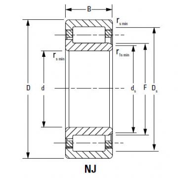 CYLINDRICAL BEARINGS ONE-ROW METRIC ISO SERIES NU1060MA