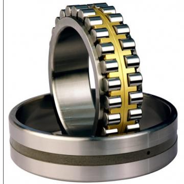 CYLINDRICAL ROLLER BEARINGS TWO Row NNU49/800MAW33 NNU4930MAW33