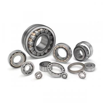 SL045017-PP Double-row Full Complement Cylindrical Roller Bearing