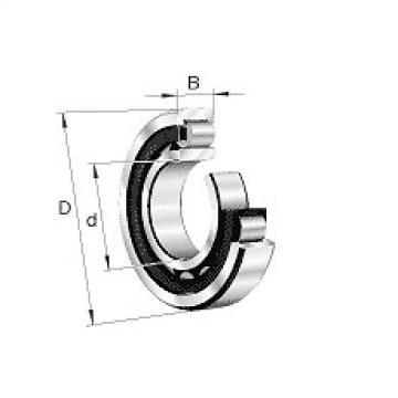 NU338E.M1 FAG Cylindrical Roller Bearing Single Row