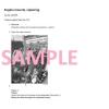 VOLVO ABG8820B  TRACKED PAVER SERVICE AND REPAIR MANUAL