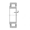 FAG bearing size chart nsk Cylindrical roller bearings - NJ215-E-XL-TVP2