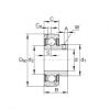 Bearing export GAY103-NPP-B-AS2/V  INA   