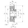 FAG bearing sda fs 22528 fag Radial insert ball bearings - CRB25/70-XL #5 small image