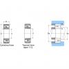 1205C4 JAPAN NTN  SPHERICAL  ROLLER  BEARINGS 