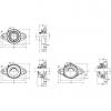 UCFL204-012D1 JAPAN NTN  SPHERICAL  ROLLER  BEARINGS 