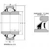 WPS-104-VPN JAPAN NTN  SPHERICAL  ROLLER  BEARINGS 