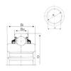 Bearing export GC211-32-NLC  CYSD   