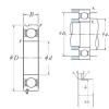 Bearing ABB WEG SKF DISTRIBUTORS online catalog 6318N  NSK    #5 small image