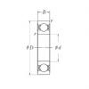 Bearing CATALOGUE BEARING SKF PDF online catalog 6204L11ZZ  NSK    #5 small image