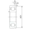 Bearing TIMKEN BEARINGS CROSS REFERENCE CHART online catalog 6204N  NACHI   