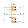 Bearing INA SPHERICAL PLAIN BEARINGS GE LO online catalog 6202-ZP  MPZ   