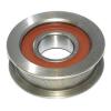 Bearing PATEL BROTHERS SKF DISTRIBUTORS online catalog 63131-11120-71  FBJ    #5 small image