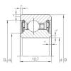 Bearing export CSCU  045.2RS  INA  