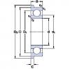 Bearing export D/W  R144  R  SKF  #5 small image