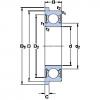 Bearing export D/W  R8  R-2RZ  SKF 