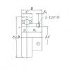 Bearing Original Brand UC313-40  KOYO    #5 small image