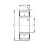 Self-Aligning Ball Bearings 2206-2RS NKE