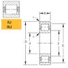 Cylindrical Roller Bearings 120RJ92 Timken #1 small image