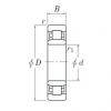 Cylindrical Roller Bearings 3NC NU1015 FY KOYO #1 small image