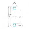 Cylindrical Roller Bearings 3NCN1008K KOYO #1 small image