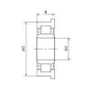 Cylindrical Roller Bearings 512099TVP2 FAG