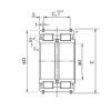 Cylindrical Roller Bearings E5009NRNT NACHI