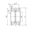 Cylindrical Roller Bearings E5008NR NACHI